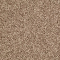 Sahara Buff