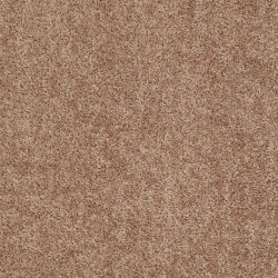 Mocha Mist
