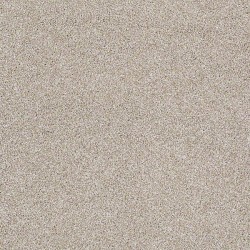 Cork Board