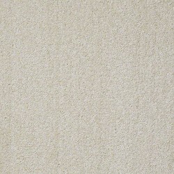Plaster
