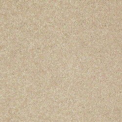 Newbern Classic - Casual Cream