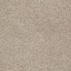 Plaster