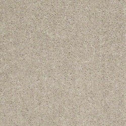 Misty Taupe