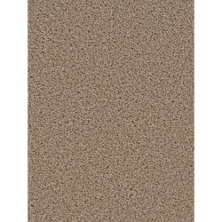 Honey Beige