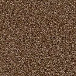 Black Walnut
