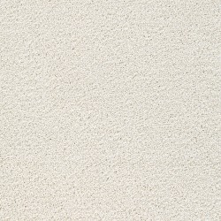 Classic Ivory