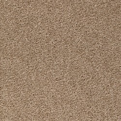 Honey Beige