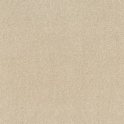 Origins II - Winter White