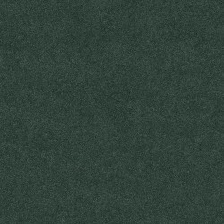 Natural Wood color swatch