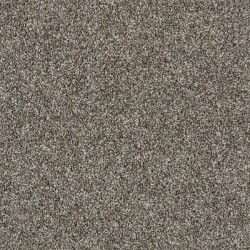 English Oak
