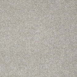 Lady in Gray