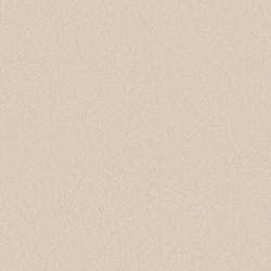 Keen Senses II - Ivory Paper