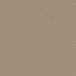 Safari