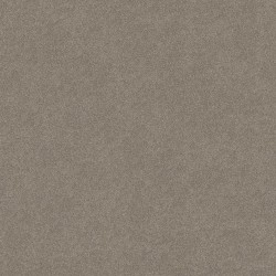 Lady In Gray