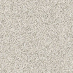 Baby\'s Breath