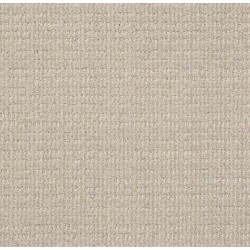 Studio Taupe