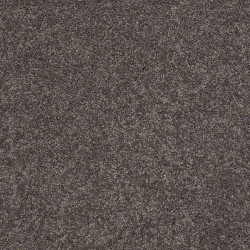 Steel