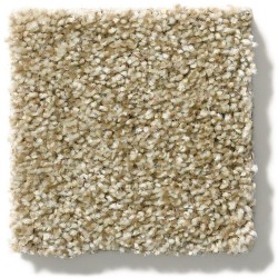 Dried Clay