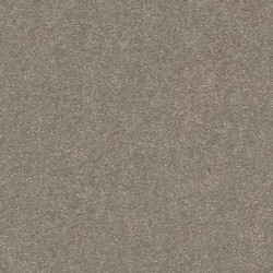 Smooth Taupe