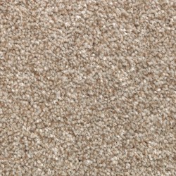 Hickory Tan color swatch