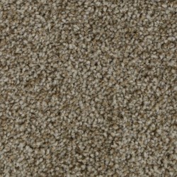 Hickory Tan color swatch