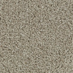 Cypress color swatch