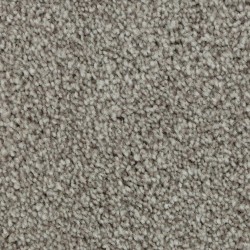 Weathered Wood color swatch