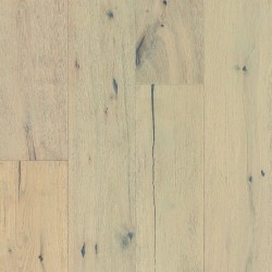 Winter Forest color swatch