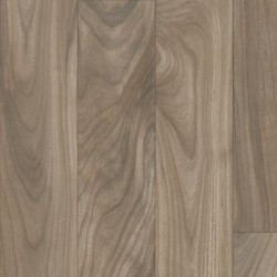 Weathered Forest
