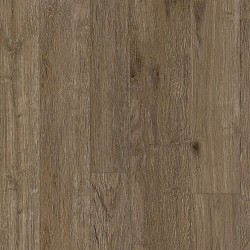 Caramel Palomino color swatch