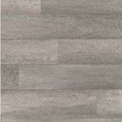 Warm Gray color swatch