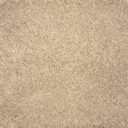 Sandcastle