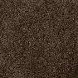 Mocha