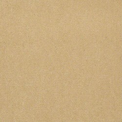 Corn Silk