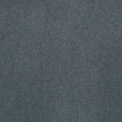 Blue Spruce