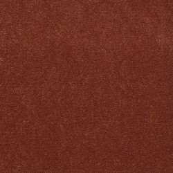 Allspice