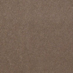 Bashful Taupe