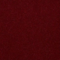 Raspberry