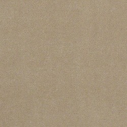 Stone Dust