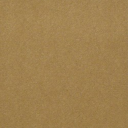 Suede Gold