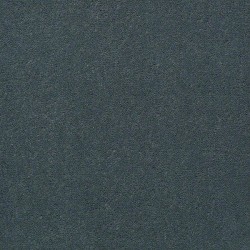 Blue Spruce