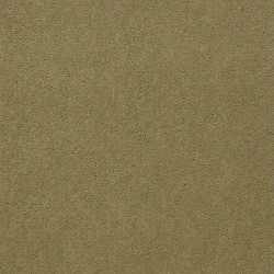 French Olive