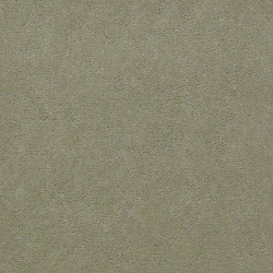 Kiwi Ice