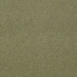 Sea Grass