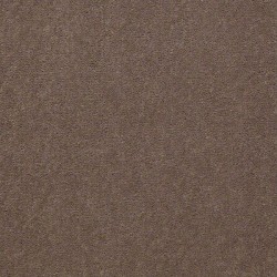 Bashful Taupe