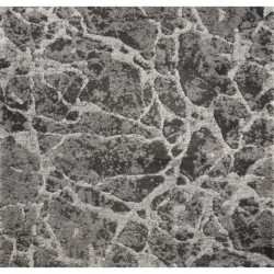 Latest - Stone
