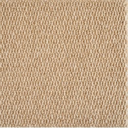 Beige Beach