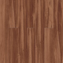 Sugar Maple