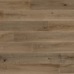 Rochester's Devotion color swatch