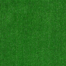 Outdoor Grass Carpet Deal - Grass Clippings